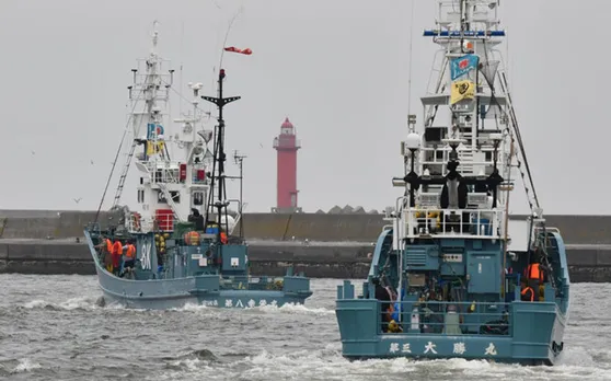 Whaling ships set sail as Japan resumes commercial hunts