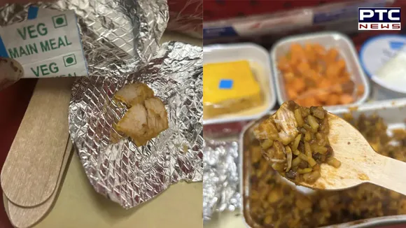 Air India passenger orders veg food, served chicken on flight; slams airline on social media
