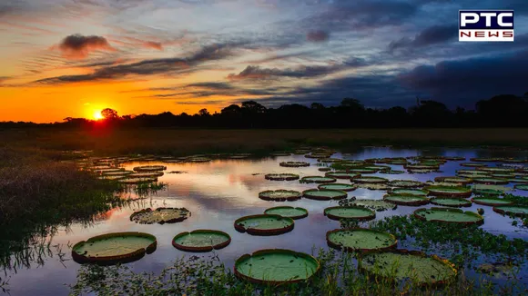 Exploring World Wetlands Day 2024: Unraveling the date, rich history, and profound significance