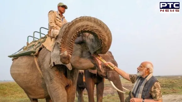 PM Modi explores Kaziranga National Park, feeds elephants, and spots one-horned Rhino on safari