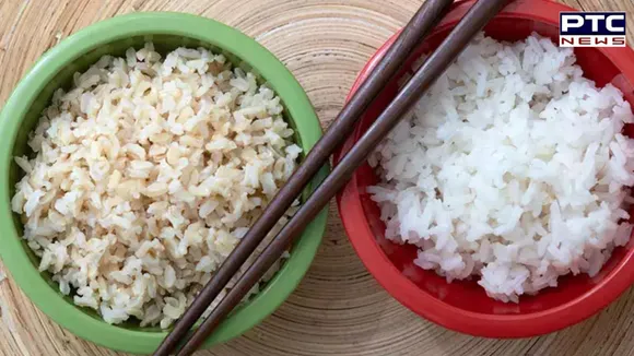 Surprising Health Benefits of Rice You Didn't Know