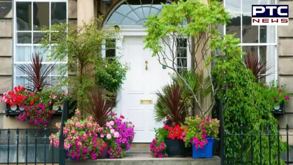 Best Plants For Front Door Entrance