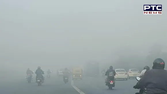 Weather Update: Dense fog engulfs Punjab; cold wave to continue till Feb 6