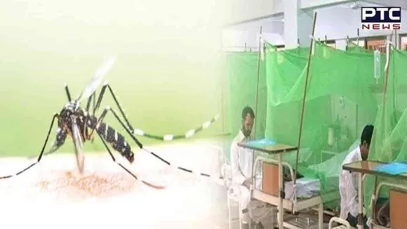 Patiala reports 28 fresh Dengue cases