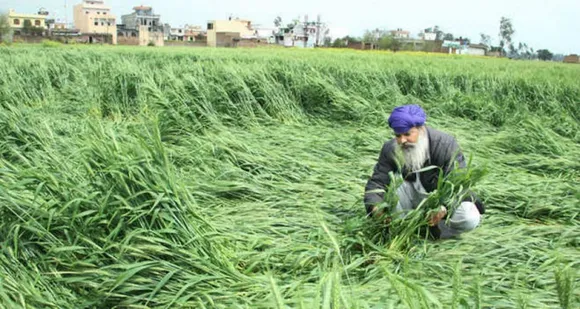 ਪੰਜਾਬ ‘ਚ ਮੀਂਹ ਤੇ ਗੜੇਮਾਰੀ ਨੇ ਚਿੰਤਾ 'ਚ ਪਾਏ ਕਿਸਾਨ, ਆਮ ਲੋਕ ਵੀ ਹੋ ਰਹੇ ਨੇ ਪ੍ਰਭਾਵਿਤ