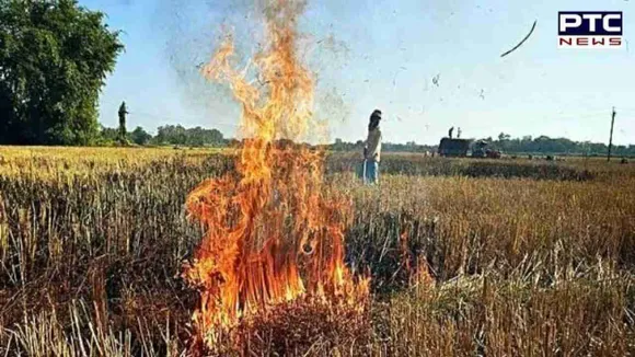 Punjab reports 500 stubble burning incidents; Fazilka records maximum cases