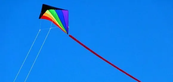 3 Dead After Kite Strings Slit Throats In Gujarat's Uttarayan Festival