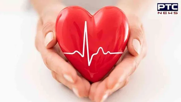Heart Health: ਆਪਣੇ ਦਿਲ ਨੂੰ ਰੱਖਣਾ ਸਿਹਤਮੰਦ ਤਾਂ ਅਪਣਾਓ ਇਹ 6 ਸੁਝਾਅ
