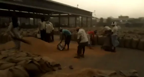 Punjab: Wheat crop and farmers to face trouble as the weather plays havoc