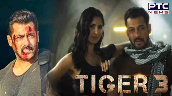 Tiger 3: Raw, realistic and lit chemistry of Salman-Katrina mints Rs 44.5 cr on Day 1