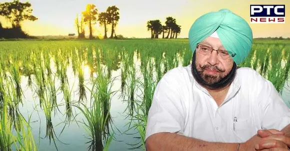 Punjab govt. sets up mobile & email helpline to nab erring dealers supplying fake agri inputs to farmers