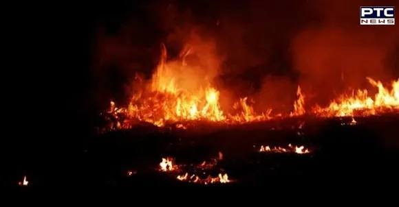 Punjab: Five people charred to death as car catches fire in Sangrur
