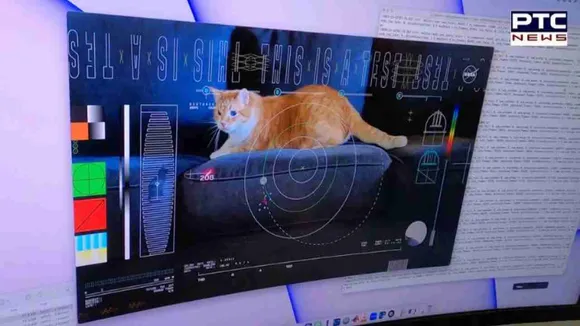 NASA sends cat video from spaceship 31 million km away to Earth | Watch Video