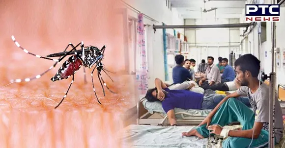 Delhi hospitals witness surge in dengue cases