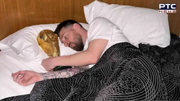 Lionel Messi takes Instagram by storm, posts pics sleeping with FIFA World Cup trophy