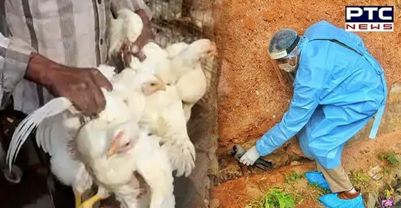 Avian Influenza:  Six states report bird flu outbreak, details inside