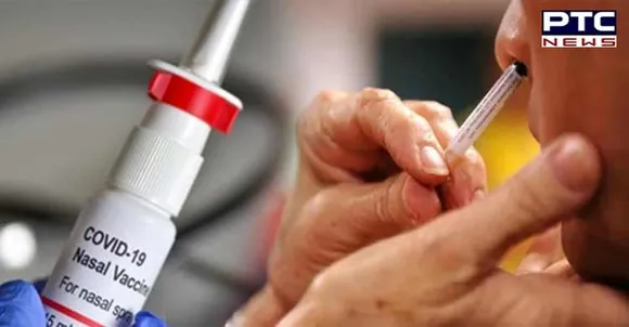 DCGI nod to Bharat Biotech to conduct clinical trials of intranasal Covid-19 vaccine BBV154