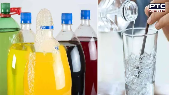 Cold Drink Bottles Water: ਜੇਕਰ ਤੁਸੀਂ ਵੀ ਕੋਲਡ ਡਰਿੰਕ ਦੀ ਬੋਤਲ 'ਚ ਰੱਖਦੇ ਹੋ ਪਾਣੀ ਤਾਂ ਸਾਵਧਾਨ, ਹੋ ਸਕਦਾ ਹੈ ਭਾਰੀ ਨੁਕਸਾਨ !