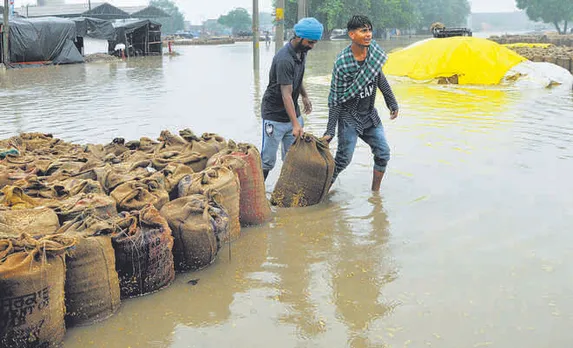 Farmers at huge losses as rainfall lashes parts of Punjab