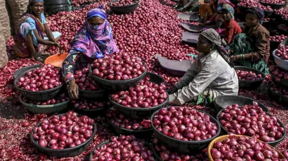 Govt imposes stock limits on onion traders till 31st Dec to check prices