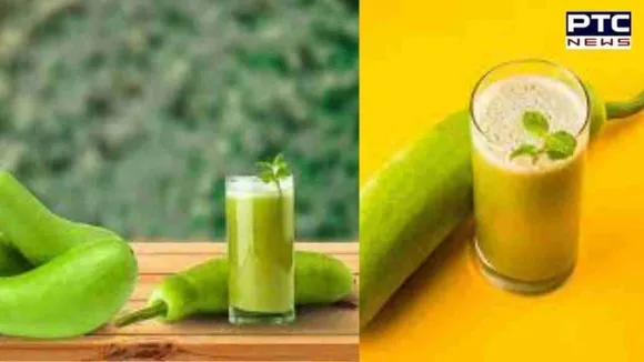 Bottle Gourd Juice Benefits : ਇਮਿਊਨ ਸਿਸਟਮ ਨੂੰ ਮਜ਼ਬੂਤ ਬਣਾਈ ਰੱਖਣ 'ਚ ਲਾਹੇਵੰਦ, ਰੋਜ਼ਾਨਾਂ ਸਵੇਰੇ ਲੌਕੀ ਦੇ ਜੂਸ ਦਾ ਸੇਵਨ