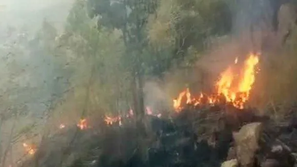 TamilNadu Forest Fire: 9 killed, Garud commandos & helicopters pressed into service 