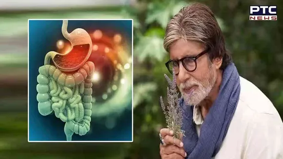 Amitabh Bachchan Battle Liver Disease: ਲਿਵਰ ਸਿਰੋਸਿਸ ਕੀ ਹੈ, ਉਹ ਬਿਮਾਰੀ ਜਿਸ ਨੇ ਅਮਿਤਾਭ ਬੱਚਨ ਦੇ 75% ਲਿਵਰ ਨੂੰ ਪਹੁੰਚਾਇਆ ਨੁਕਸਾਨ ?