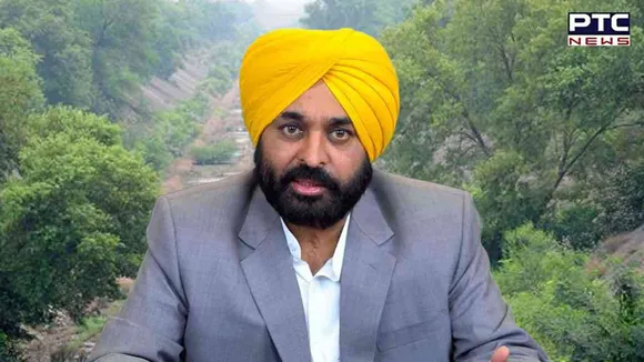Make 'YSL' instead of SYL, Punjab should be given water from Yamuna: CM Bhagwant Mann