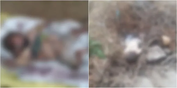 Bathinda: Toddler found dead near the bank of the river in Baluana village