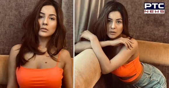 Shehnaaz Gill flaunts her new 'adorable' avatar [See Pics]