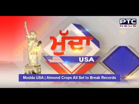 Mudda USA | Almond Crops All Set to Break Records