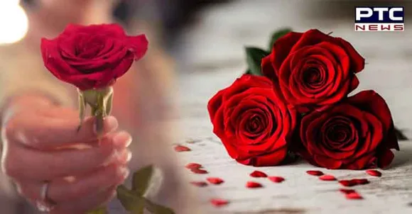 Happy Rose Day 2022:ਗੁਲਾਬ ਨਾਲ ਕਰੋ ਪਿਆਰ ਦਾ ਇਜ਼ਹਾਰ