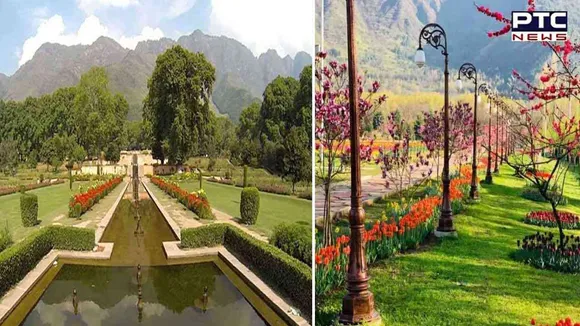 Asia's largest tulip garden is now open for public in Srinagar