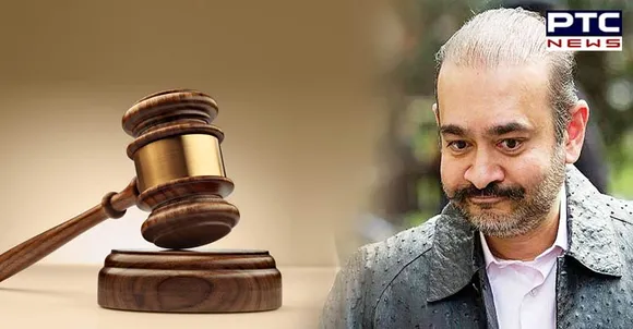 PNB Scam: Nirav Modi says will kill himself if extradited to India