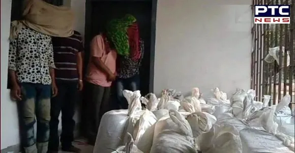 NCB seizes 550 kg cannabis in Uttar Pradesh