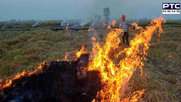 Punjab farm fires: Punjab records 2,060 agricultural fires; 'severe' and 'very poor' air quality in some areas of Haryana