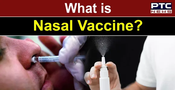 What is Nasal Vaccine? How is it different from existing COVID-19 Vaccines?