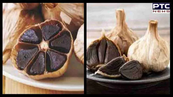 Black Garlic Benefits : ਇਨ੍ਹਾਂ ਬਿਮਾਰੀਆਂ ਨੂੰ ਦੂਰ ਕਰਨ 'ਚ ਲਾਹੇਵੰਦ ਕਾਲੇ ਲਸਣ ਦਾ ਸੇਵਨ