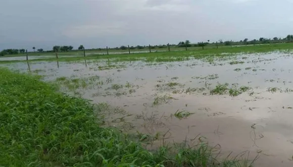 आधा दर्जन गांवों से 1 महीने के बाद भी नहीं निकला बरसात का पानी, फसलें हुई नष्ट