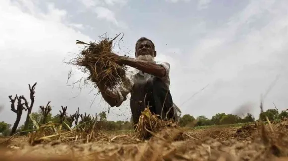हरियाणा सरकार से किसानों को राहत देने की मांग, गेहूं की एकसमान विशिष्टता में छूट के लिए अनुरोध