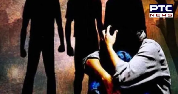 Woman forced to drink acid, gangraped by ex-husband and his relatives in Madhya Pradesh