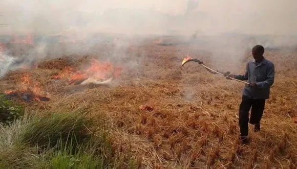 पराली जलाने की सूचना देने पर मिलेगा इनाम, खट्टर सरकार का ऐलान