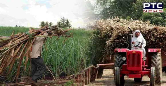 UP elections 2022: Sugarcane farmers demand subsidised diesel, loan to buy seeds