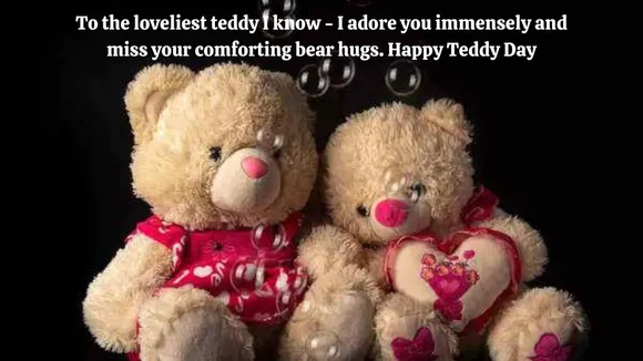 teddy 3