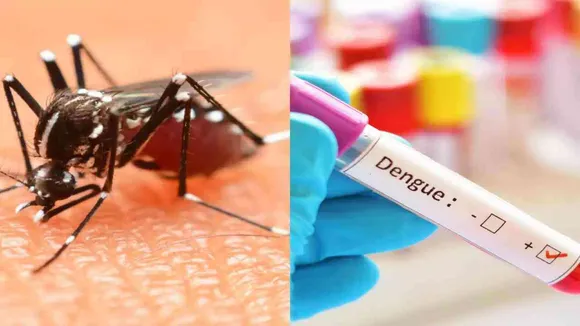 मुरादाबाद में डेंगू और बुखार का कहर, एक बुजुर्ग समेत 11 लोगों की हुई मौत, स्वास्थ्य विभाग में मचा हड़कंप