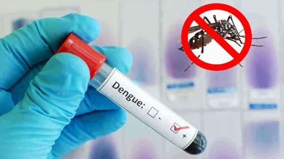Dengue Case In Lucknow: लखनऊ में डेंगू से महिला की मौत, 1100 से अधिक हुए मरीज