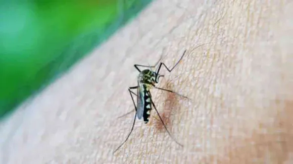 लखनऊ में वायरल फीवर और डेंगू हुआ बेकाबू, रोजाना स्वास्थ्य केंद्रों पर पहुंच रहे सैकड़ों मरीज
