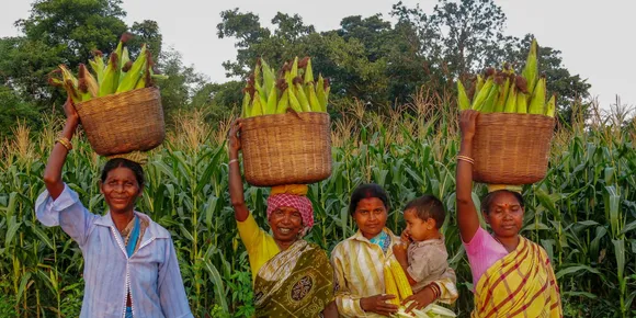 Maize Production By women