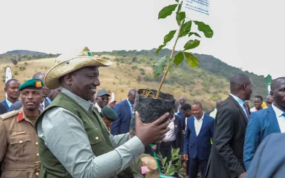  15 billion trees in Kenya