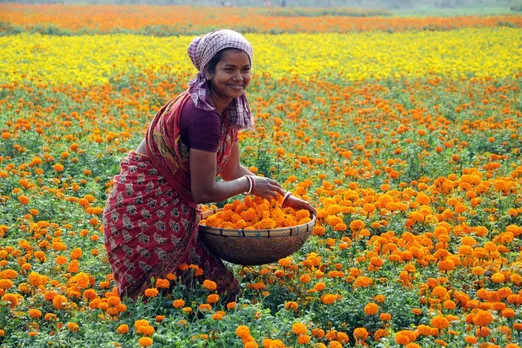 kerala onam fstival